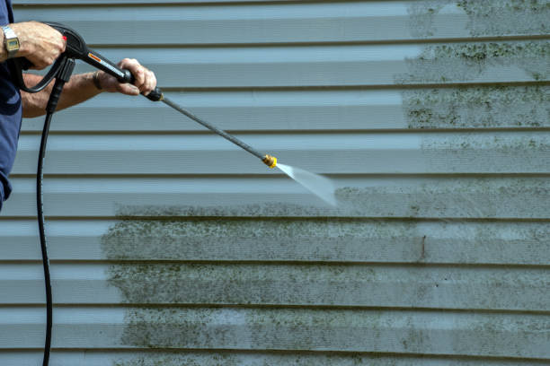 Best Gutter Cleaning  in Horse Shoe, NC