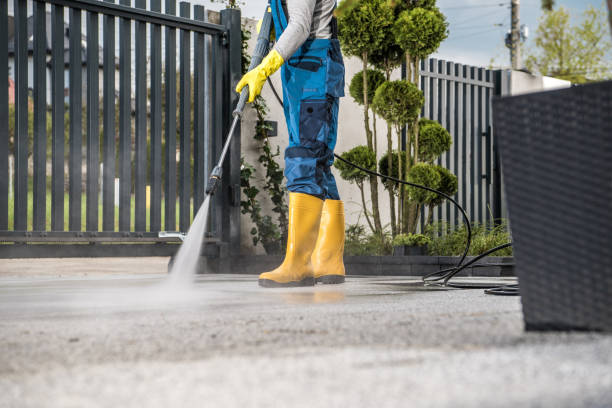 Best Spring Cleaning  in Horse Shoe, NC